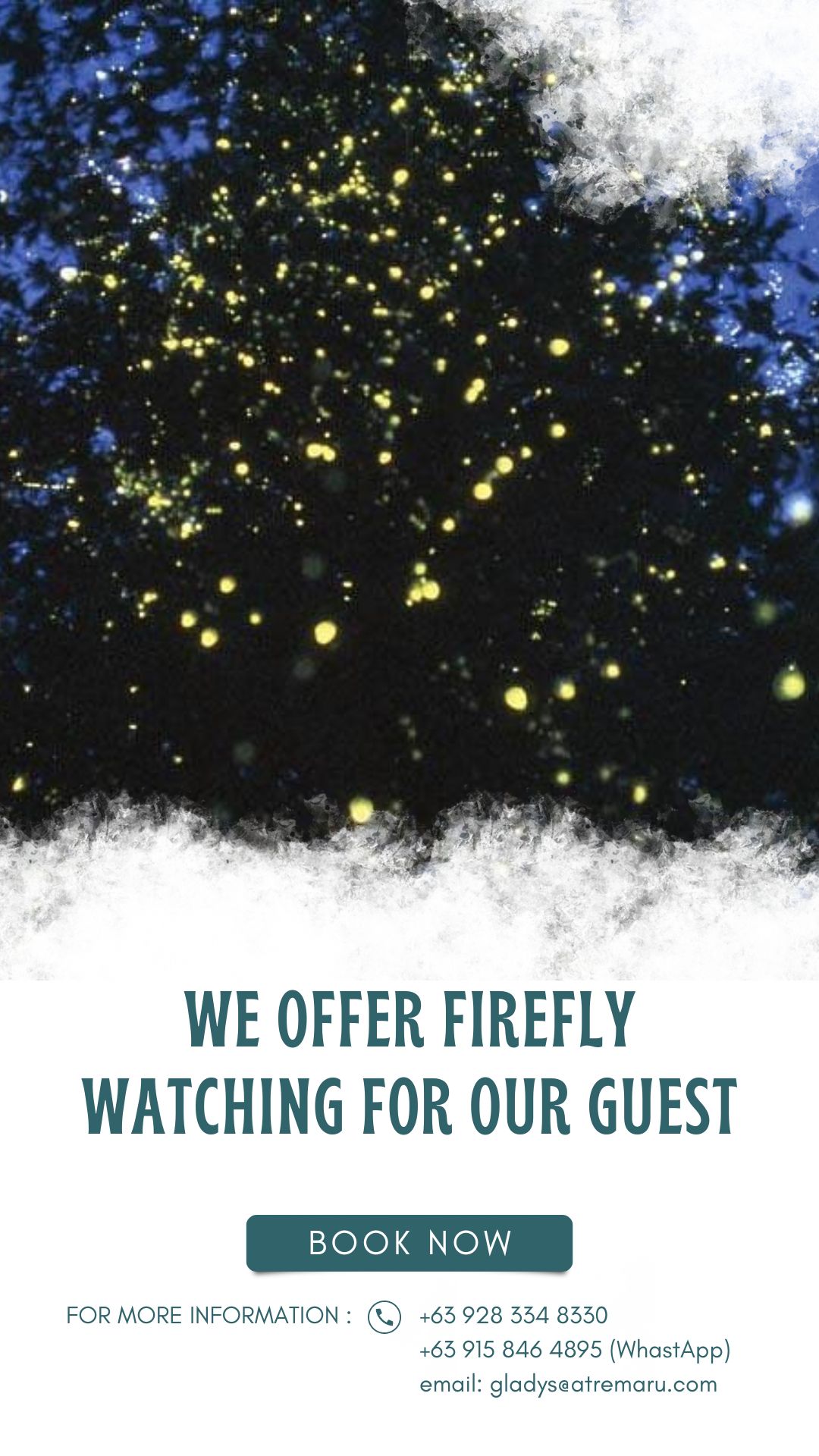 Firefly Watching
